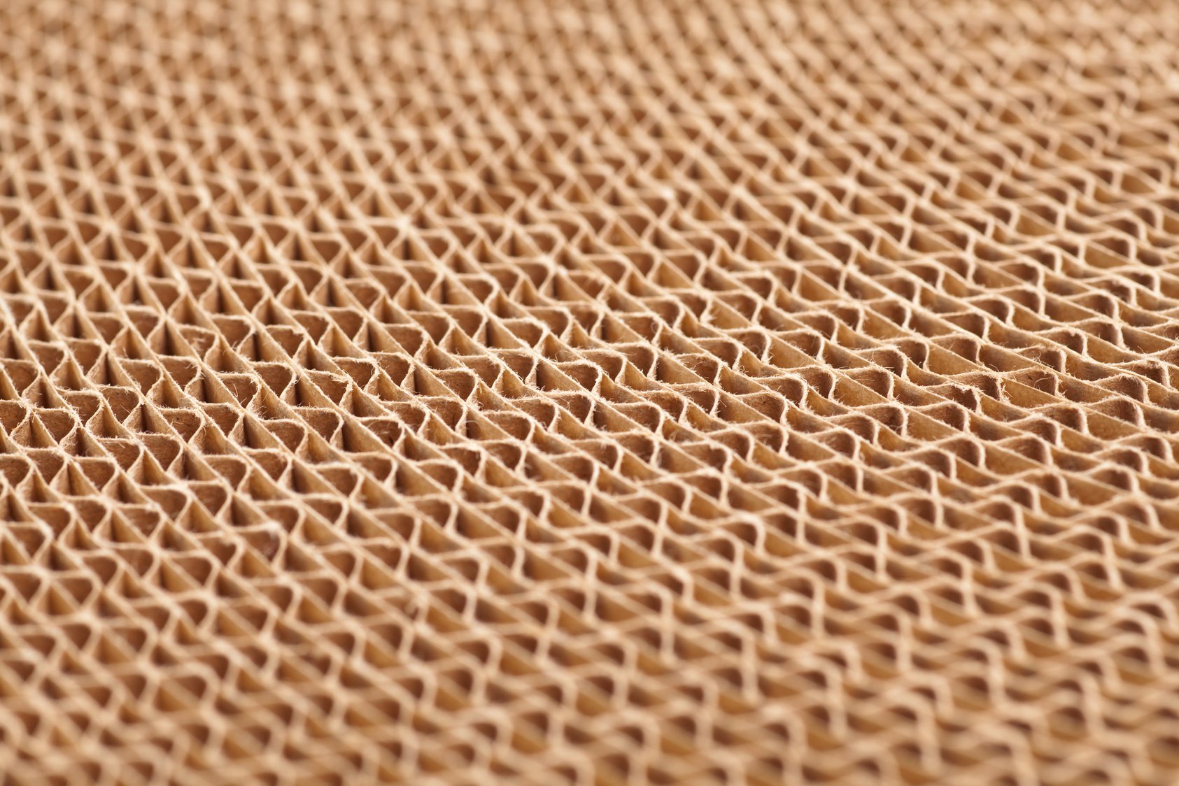 Corrugated cardboard